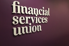 fsu 3D Foamex Cut Out Letters